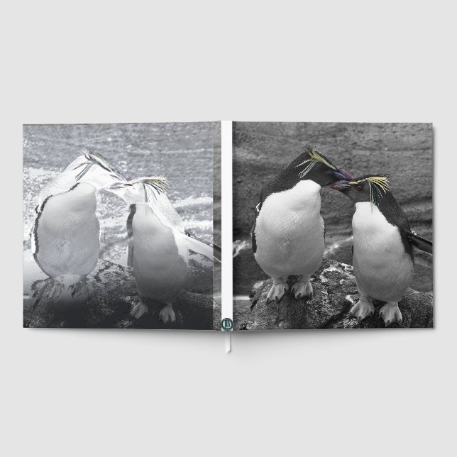 Libro De Visitas Penguin Colour Splash (Lleno)