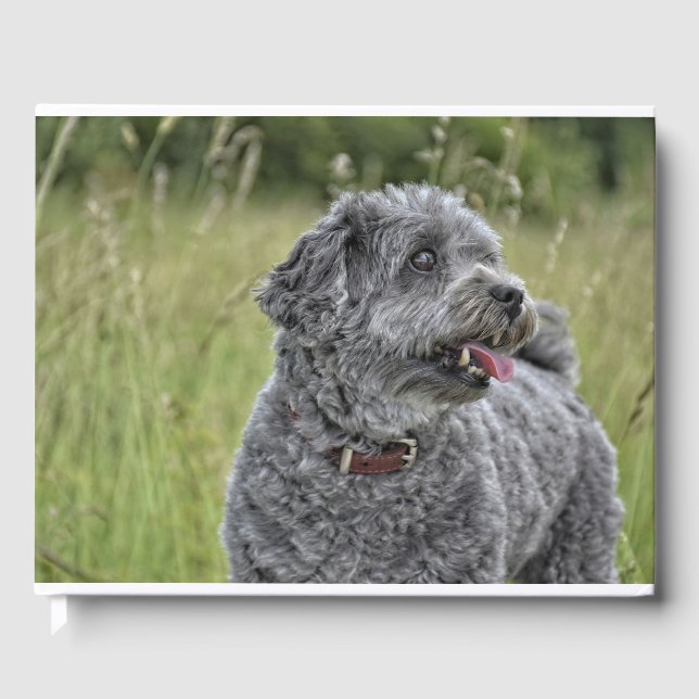 Libro De Visitas Perro Cute Terrier (Anverso)