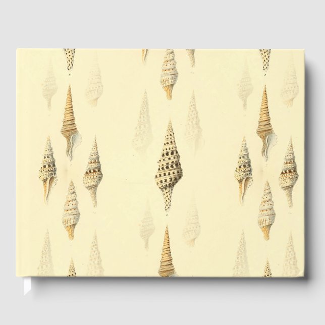 Libro De Visitas playa (Anverso)