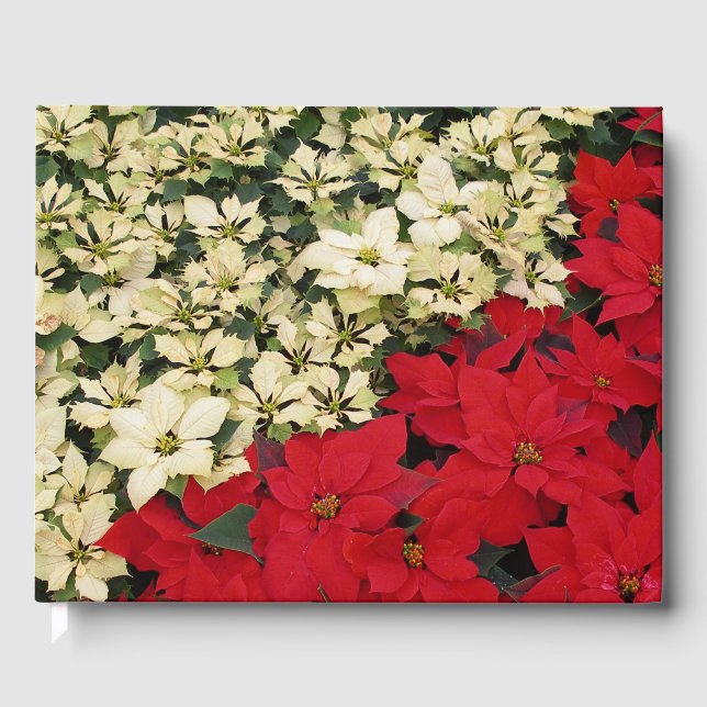 Libro De Visitas Poinsettias blancas y rojas con flores (Anverso)