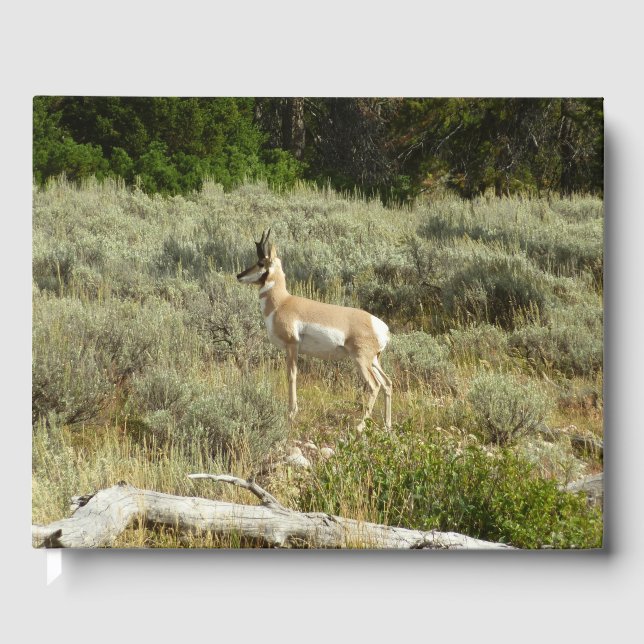 Libro De Visitas Pronghorn en el Parque Nacional de Grand Teton (Anverso)