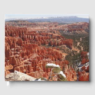 Libro De Visitas Punto de inspiración en el Cañón Bryce I