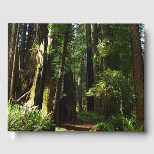 Libro De Visitas Redwoods y helechos en el Parque Nacional Redwood