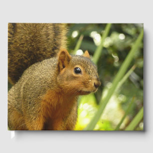 Libro De Visitas Retrato de una ardilla Fotografía de animales de l