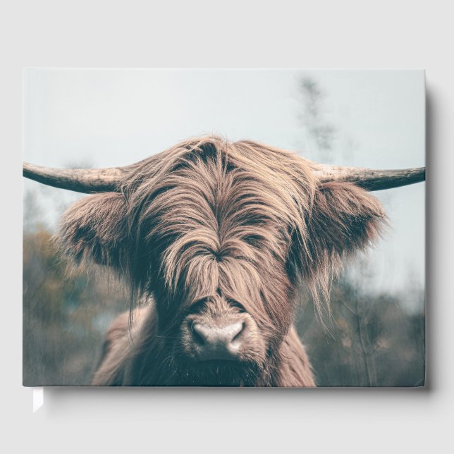 Libro De Visitas Retrato de vaca Highland (Anverso)