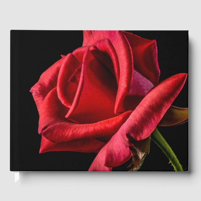 Libro De Visitas Rosa roja contra fondo negro (Anverso)