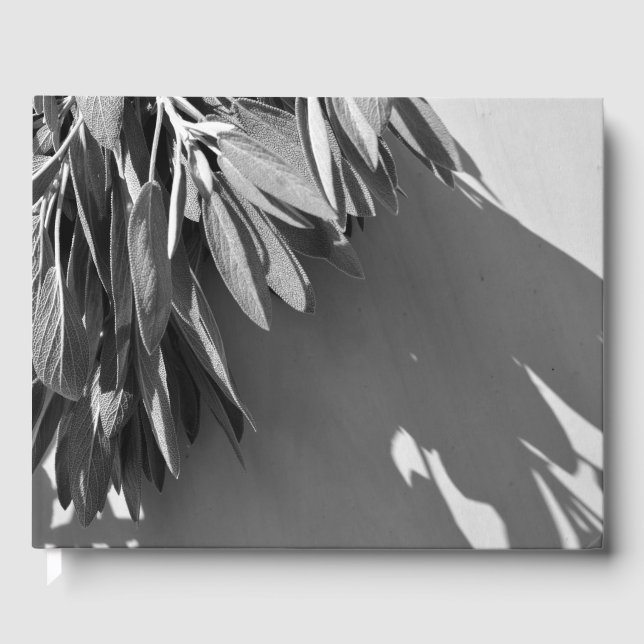 Libro De Visitas Salvia cortada en gris (Anverso)