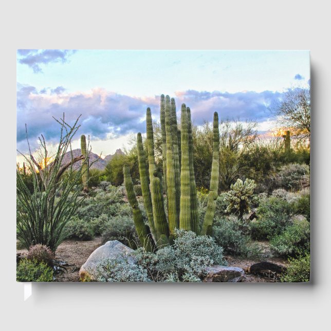 Libro De Visitas Scottsdale Succulent Sunset (Anverso)