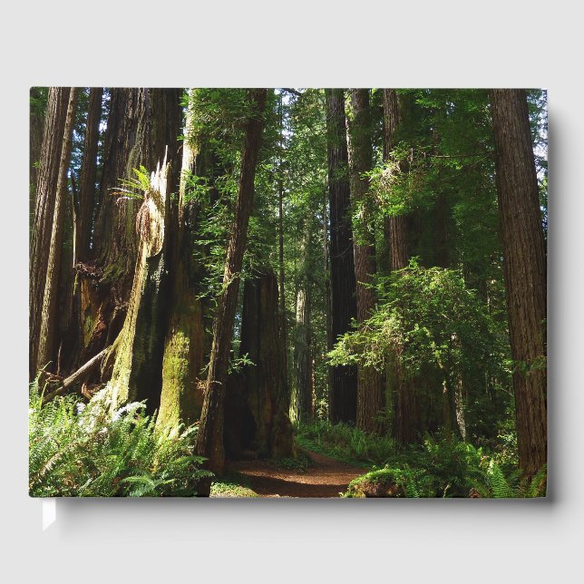 Libro De Visitas Secuoyas y ferris en el Parque Nacional Redwood (Anverso)