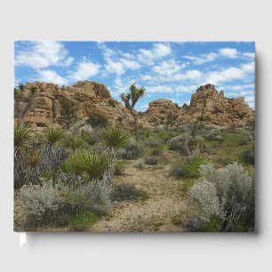 Libro De Visitas Sendero Barker Dam Loop en el Parque Nacional Josh