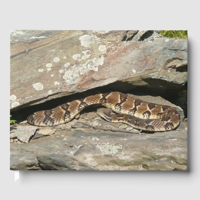 Libro De Visitas Serpiente de cascabel en el Parque Nacional Shenan (Anverso)