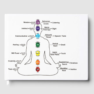 Libro De Visitas Siete chakras