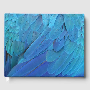 Libro De Visitas Soy azul - las plumas de loro se cierran
