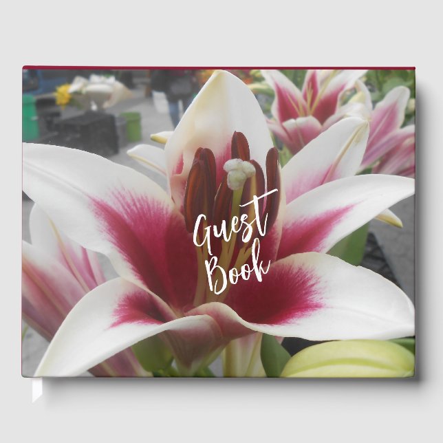 Libro De Visitas Star Gazer (Anverso)