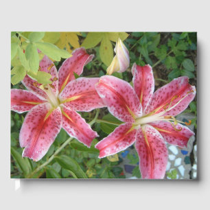 Libro De Visitas Stargazer Lilies Garden Floral