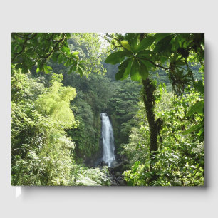 Libro De Visitas Trafalgar cae fotografía tropical de selva tropica