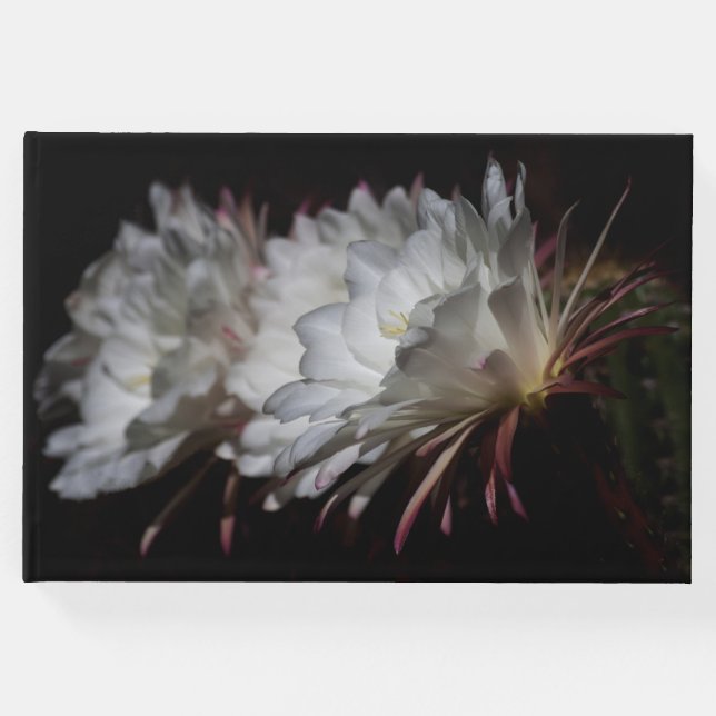 Libro De Visitas Trío de flores de Cactus Blancas (Anverso)