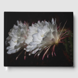 Libro De Visitas Trío de flores de Cactus Blancas