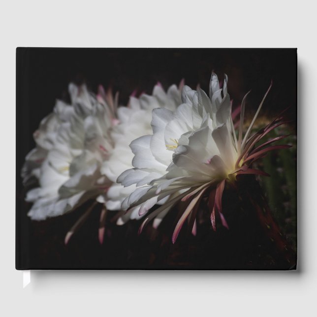 Libro De Visitas Trío de flores de Cactus Blancas (Anverso)