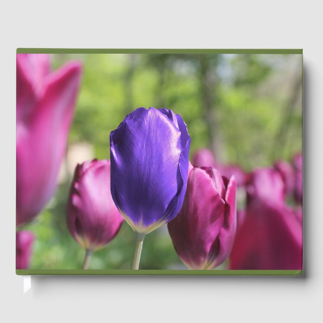 Libro De Visitas Tulipán púrpura simple (Anverso)