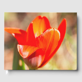 Libro De Visitas Tulipán Rojo