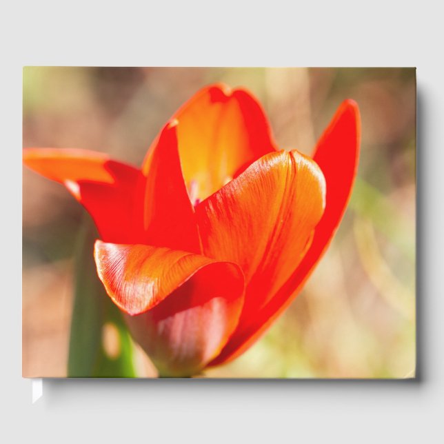 Libro De Visitas Tulipán Rojo (Anverso)