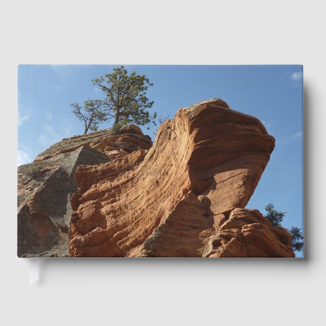Libro De Visitas Up to Angels Landing in Zion National Park (Anverso)