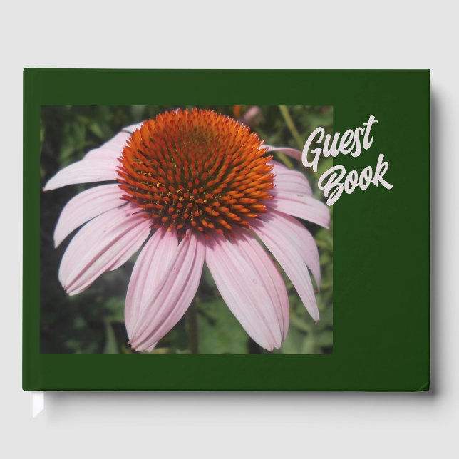 Libro De Visitas Varotari (Anverso)