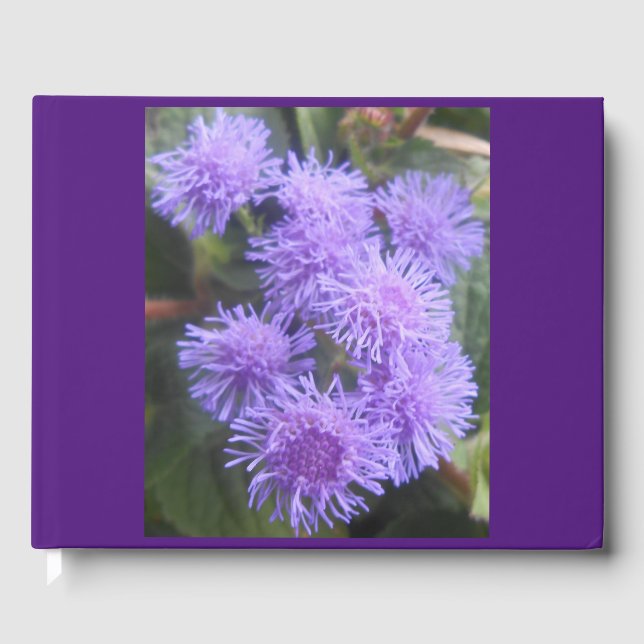 Libro De Visitas Viseras, (Anverso)