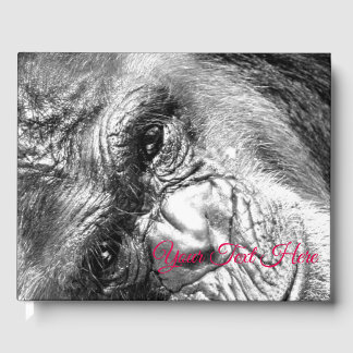 Libro De Visitas Vista intensa