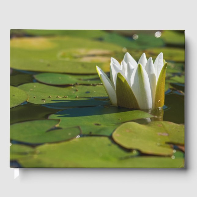 Libro De Visitas Water Lily Blossom (Anverso)