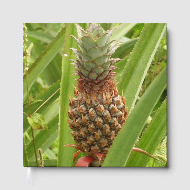 Libro De Visitas Wild Pineapple Tropical Fruit in Nature (Anverso)