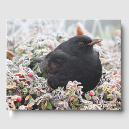 Libro De Visitas Winter Blackbird