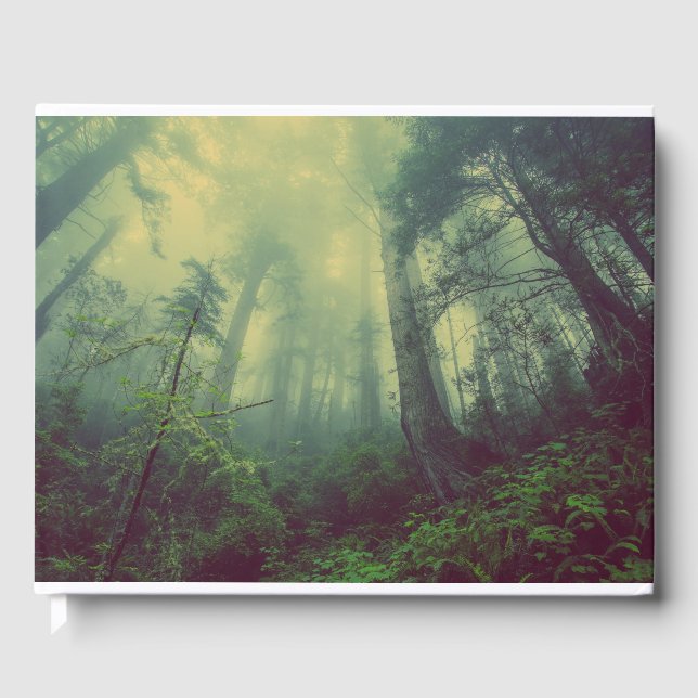 Libro De Visitas Woodland desde abajo (Anverso)