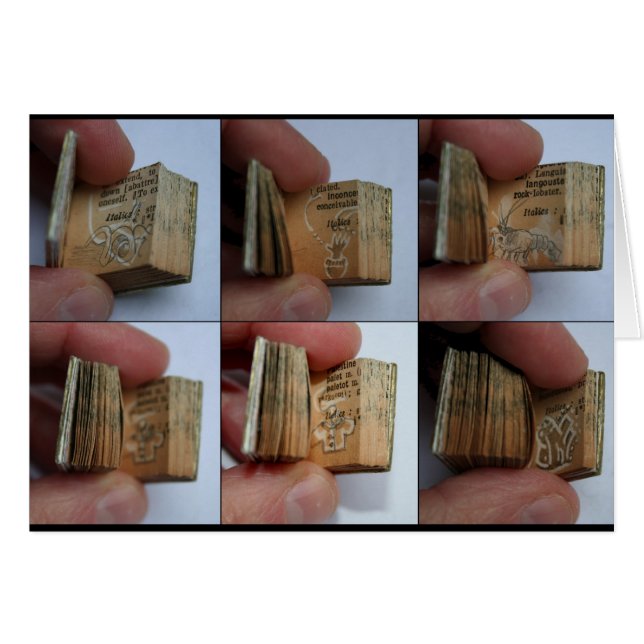 Libro miniatura de DicofrAngle con la tarjeta de (Anverso (Horizontal))