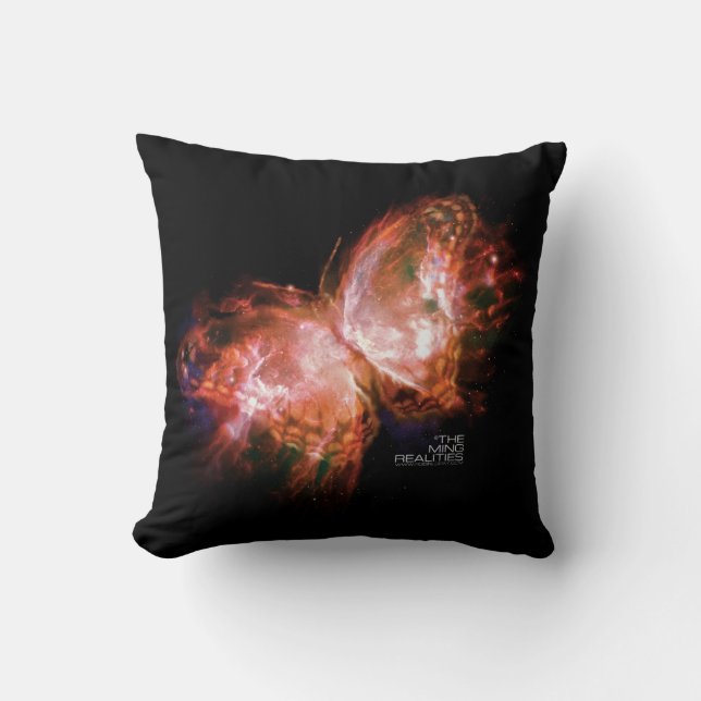 LIBRO UNO DE LAS REALIDADES DE MING: ALMOHADA DE (Anverso)