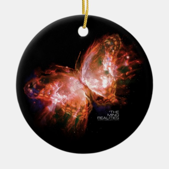 LIBRO UNO DE LAS REALIDADES DE MING: ORNAMENTO DE (Frente)