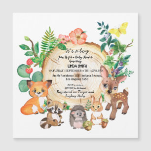 Libros infantiles sobre bosques y plantas forestal