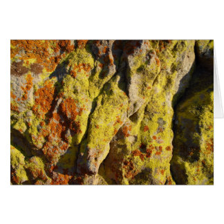 Lichen en rock