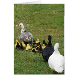 Liderando A Los Moscovitas Familiares En Una Línea