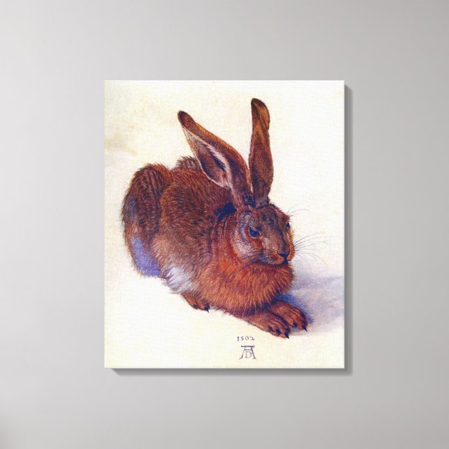 Liebre joven de Albrecht Durer, Arte Fino Renacent (Anverso)