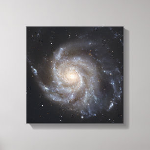 Lienzo 101 más sucios, la galaxia del molinillo de vient