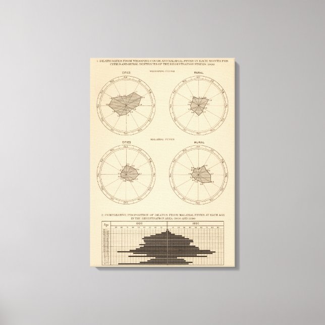 Lienzo 116 muertes por tos ferina (Anverso)