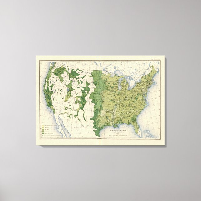 Lienzo 129 Tamaño de las explotaciones 1900 (Anverso)