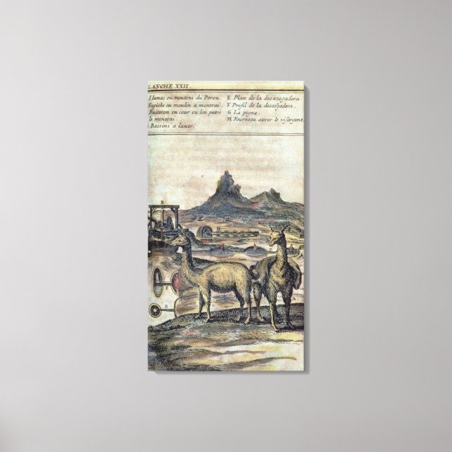 Lienzo 137-0627924 Ilustracion de la historia del Perú sh (Anverso)