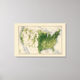 Lienzo 147 Bovinos de neat/milla cuadrada