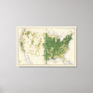 Lienzo 149 caballos, mulas, milla de asses/sq