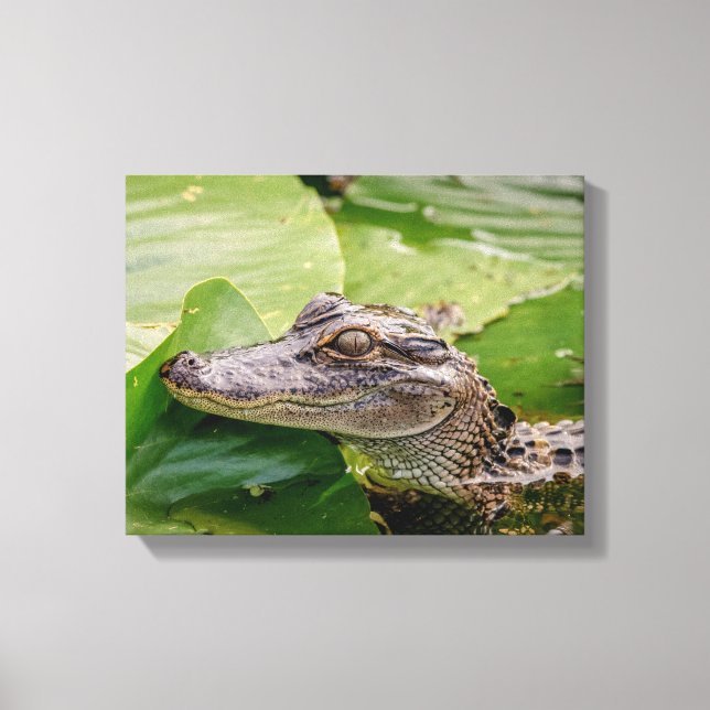 Lienzo 14x11 Joven lagarto (Anverso)