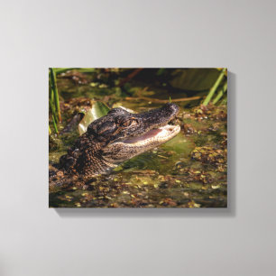 Lienzo 14x11 Joven lagarto