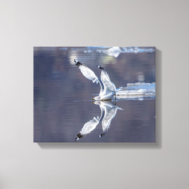 Lienzo 14x11 Reflexiones de gaviotas (Anverso)